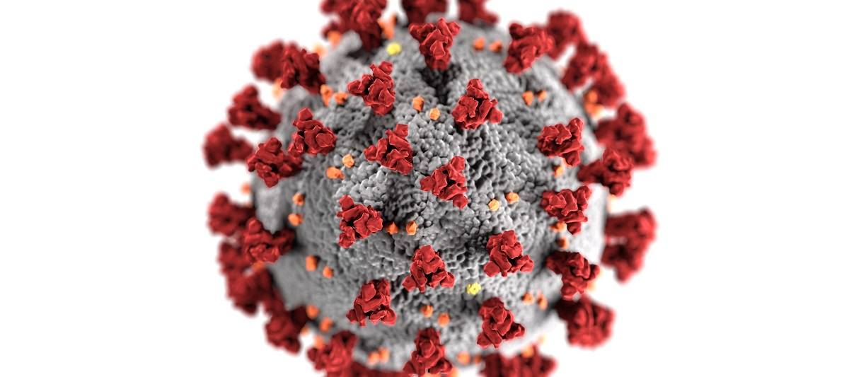 Coronavirus molecule