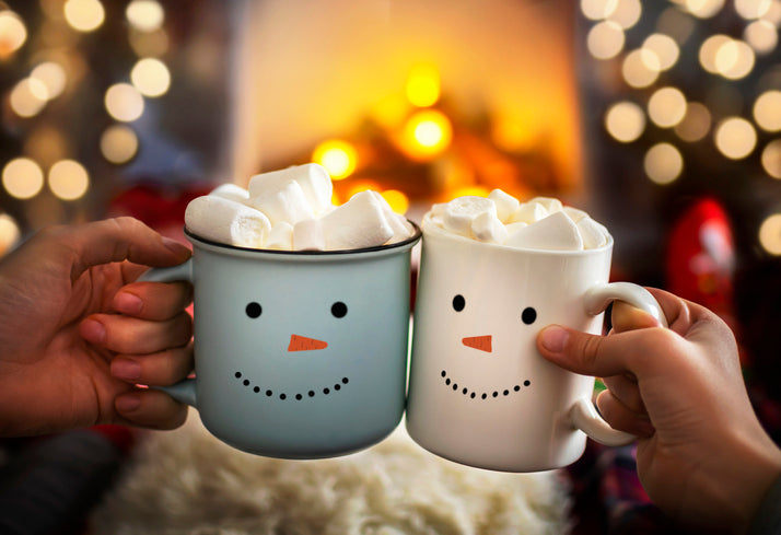 Nurturing a Healthy Home Environment: The Crucial Role of HVAC Air Filters in the Holiday Season