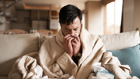 Cold and Flu Season: How to Improve Indoor Air Quality