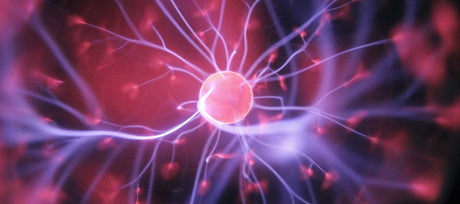 Bright pink and purple neuron